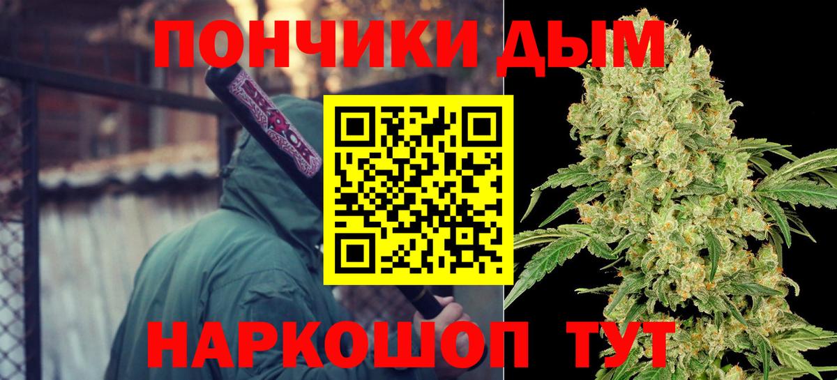 Конопля индика Кушва